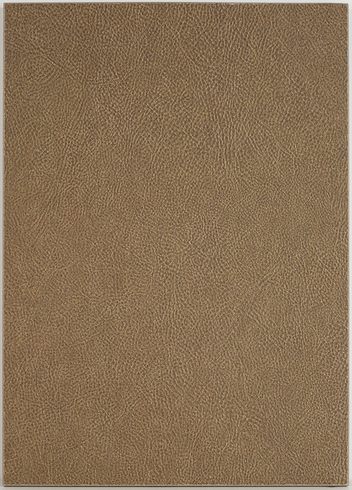 9101 Earth Bronze Leather slab door