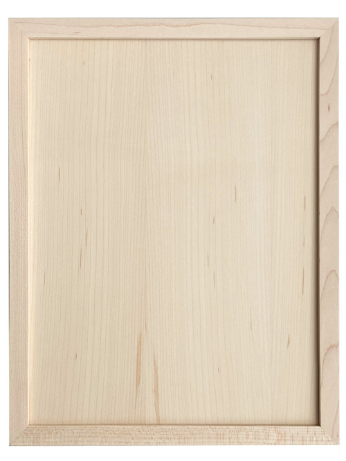 modern shaker cabinet door example