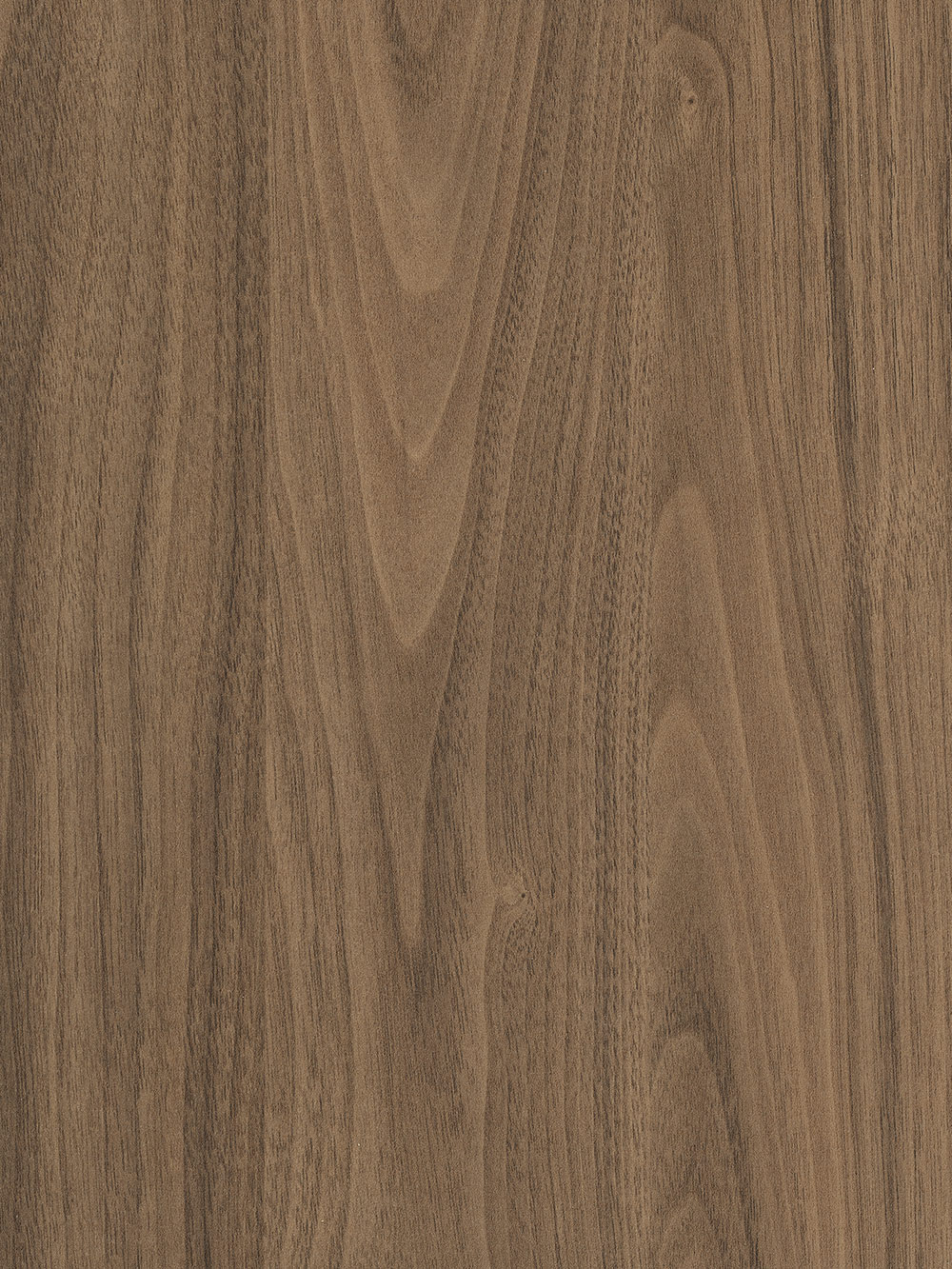 cabinet door with H3710 natural carini walnut textured laminate